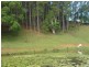 147 Pottsville Road, Mooball NSW 2483
