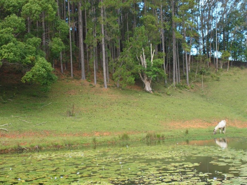 147 Pottsville Road, Mooball NSW 2483