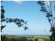 147 Pottsville Road, Mooball NSW 2483
