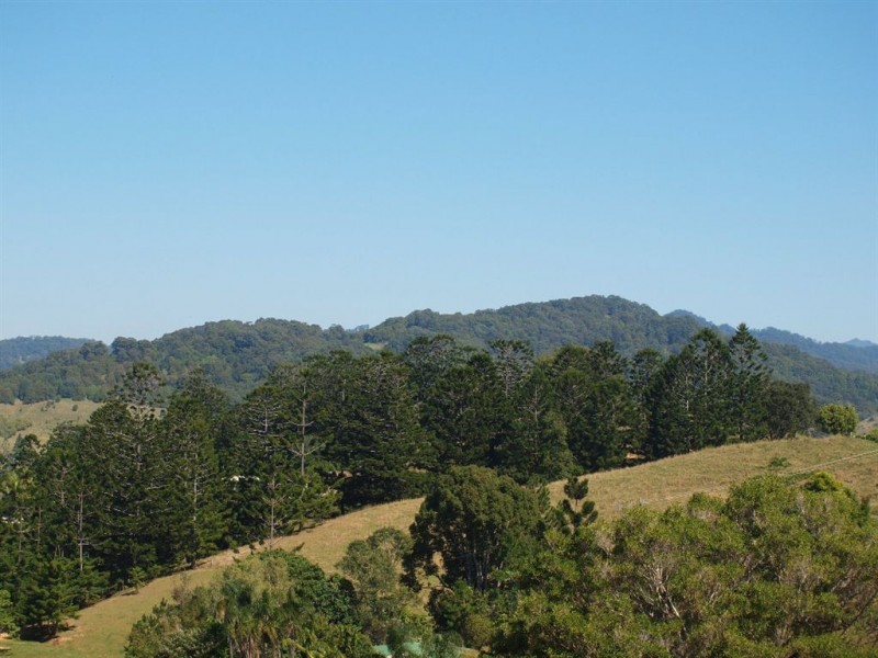 147 Pottsville Road, Mooball NSW 2483