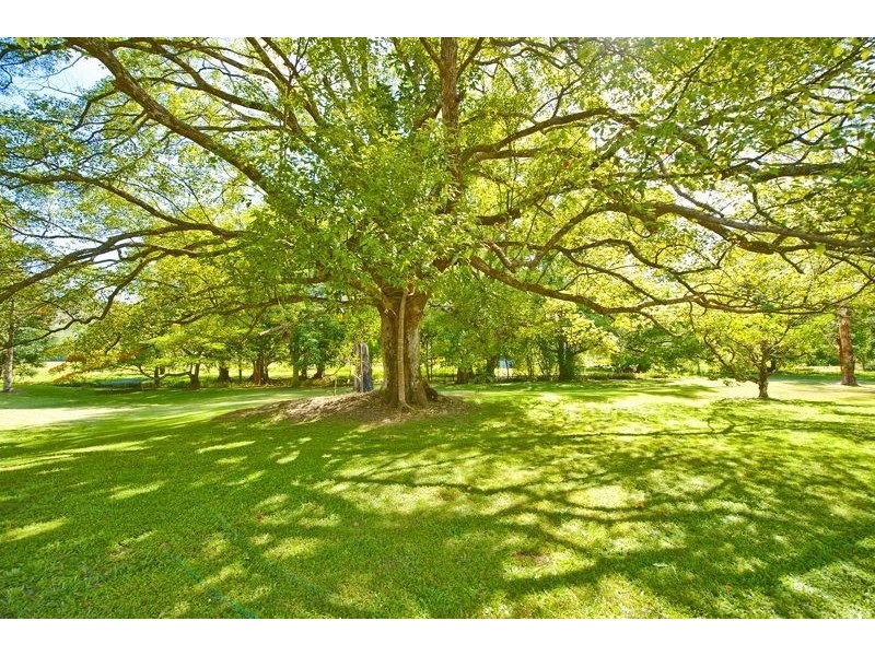 12 Brookers Road, Crystal Creek NSW 2484