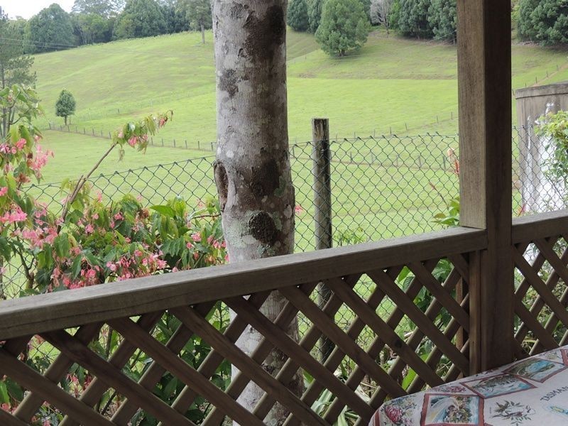 3 Hazelbrook Road, Uki NSW 2484