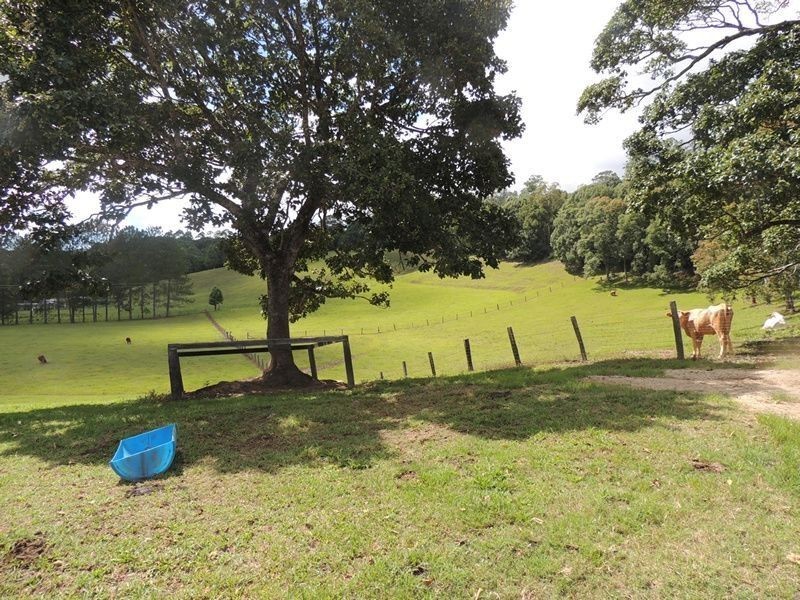 3 Hazelbrook Road, Uki NSW 2484