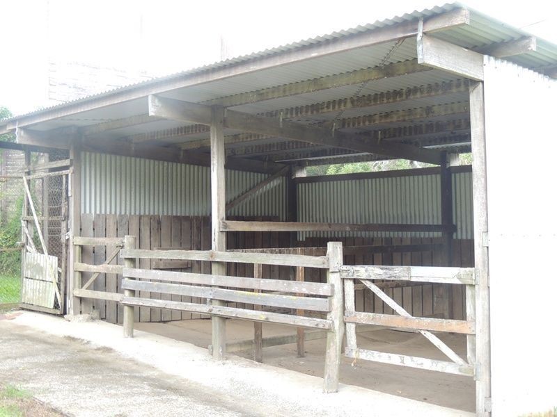 3 Hazelbrook Road, Uki NSW 2484