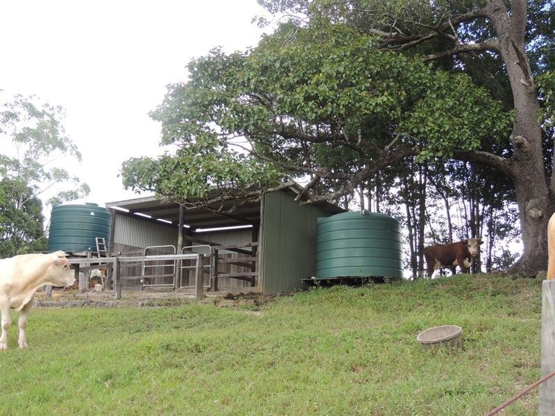 3 Hazelbrook Road, Uki NSW 2484