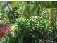 Nimbin NSW 2480
