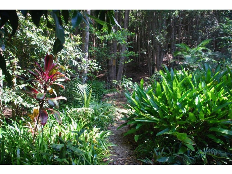 39 Ryans rd, Uki NSW 2484