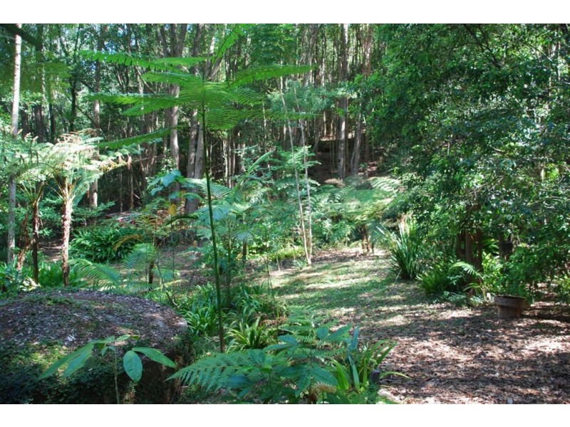 39 Ryans rd, Uki NSW 2484