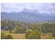 491 Nobbys Creek Road, Nobbys Creek NSW 2484