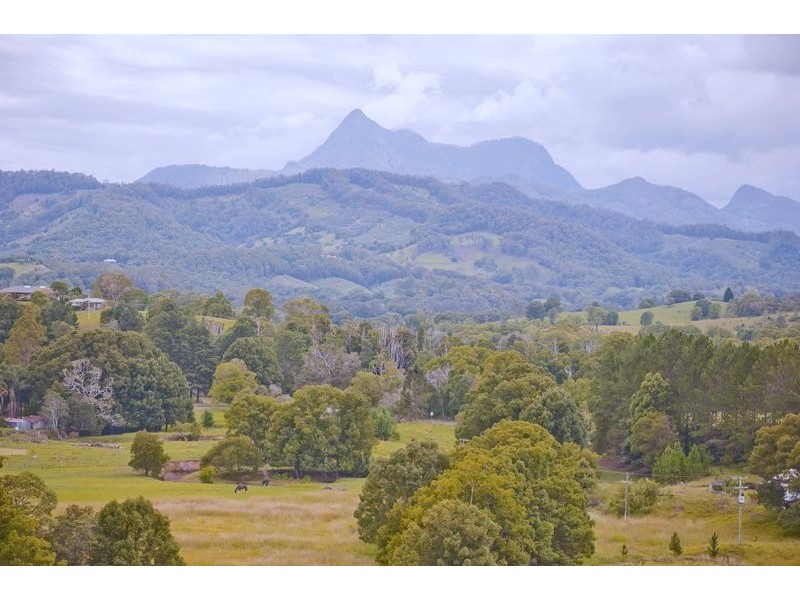 491 Nobbys Creek Road, Nobbys Creek NSW 2484