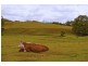 491 Nobbys Creek Road, Nobbys Creek NSW 2484