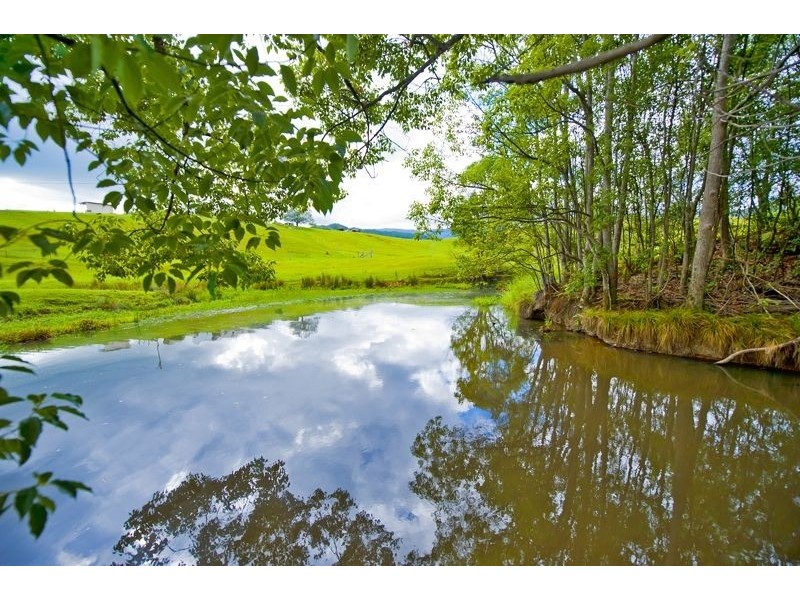 491 Nobbys Creek Road, Nobbys Creek NSW 2484