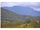 491 Nobbys Creek Road, Nobbys Creek NSW 2484