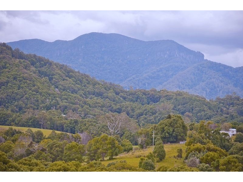491 Nobbys Creek Road, Nobbys Creek NSW 2484