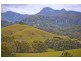 491 Nobbys Creek Road, Nobbys Creek NSW 2484