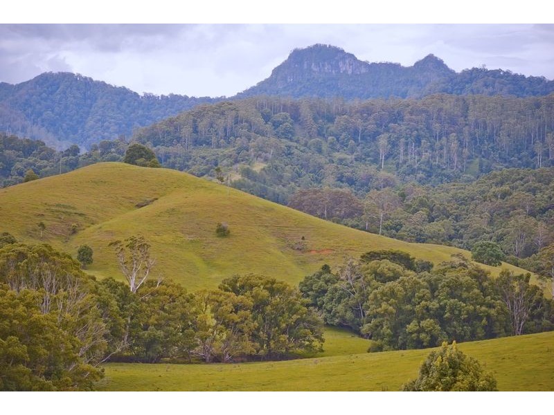491 Nobbys Creek Road, Nobbys Creek NSW 2484