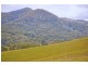 491 Nobbys Creek Road, Nobbys Creek NSW 2484
