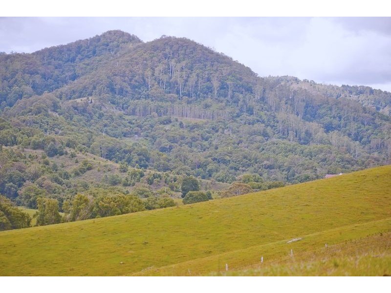 491 Nobbys Creek Road, Nobbys Creek NSW 2484