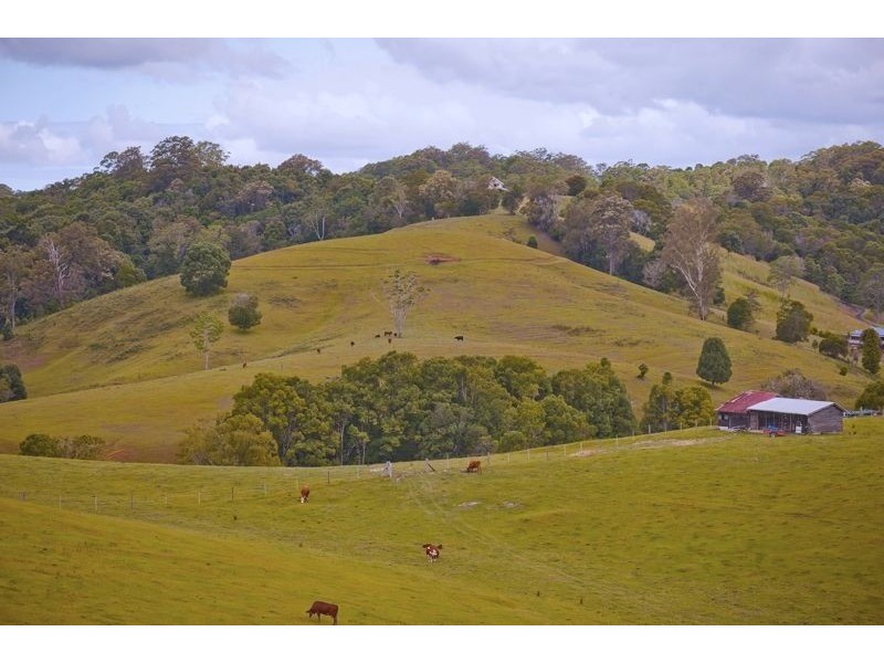 491 Nobbys Creek Road, Nobbys Creek NSW 2484