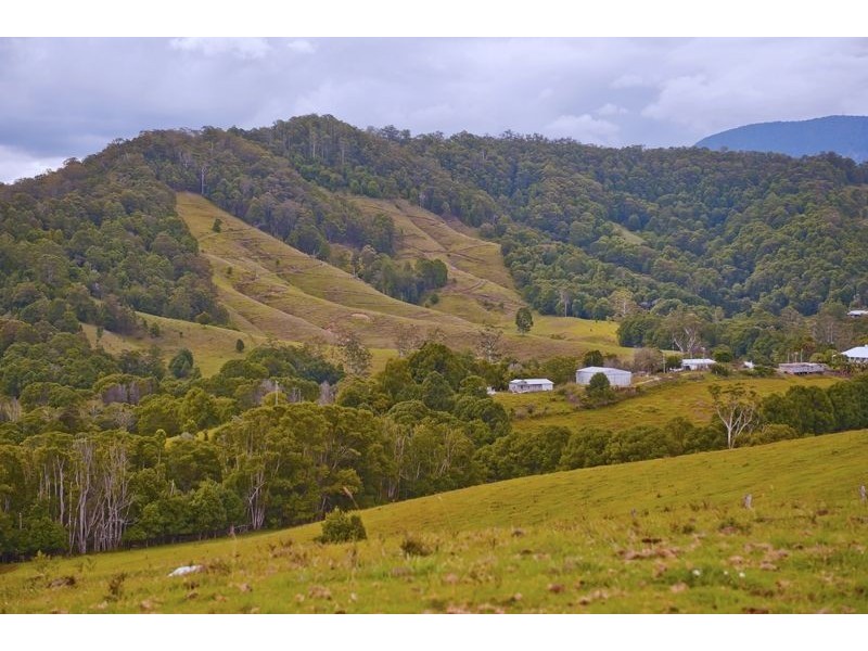 491 Nobbys Creek Road, Nobbys Creek NSW 2484