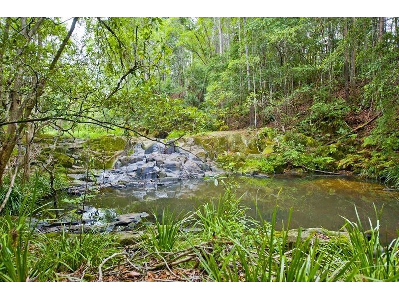 332 Zara Road, Chillingham NSW 2484