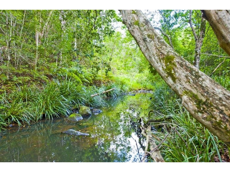 332 Zara Road, Chillingham NSW 2484