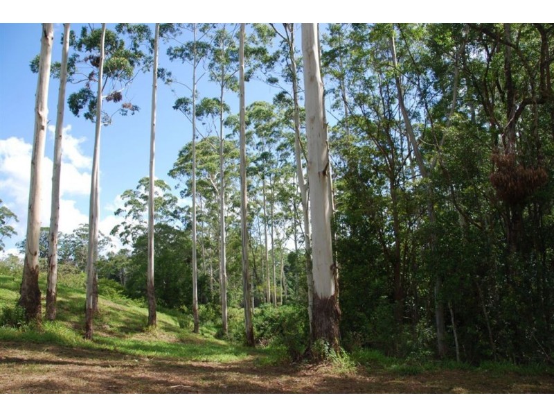 Lillian Rock NSW 2480
