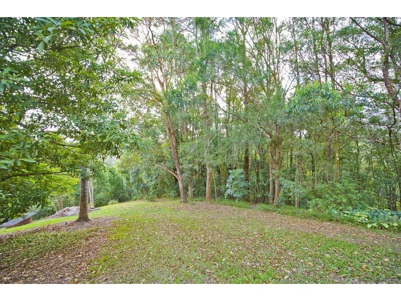 81 Chilcotts Road, Crystal Creek NSW 2484