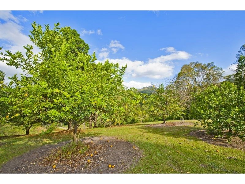 81 Chilcotts Road, Crystal Creek NSW 2484