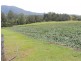 54 Starlight Way, Pumpenbil NSW 2484