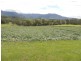 54 Starlight Way, Pumpenbil NSW 2484