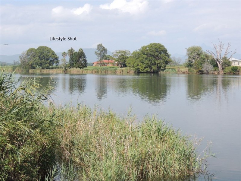 14 McLeod Street, Condong NSW 2484