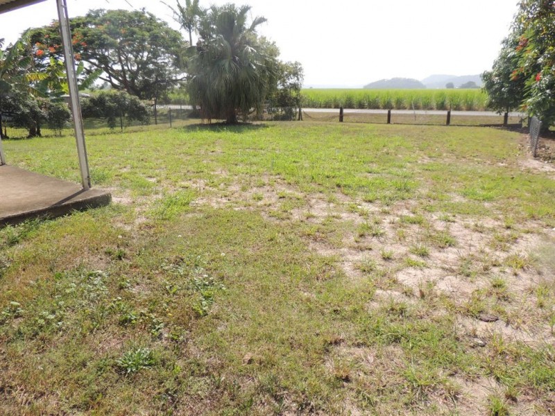 14 McLeod Street, Condong NSW 2484