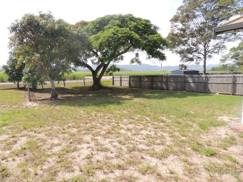 16 McLeod Street, Condong NSW 2484