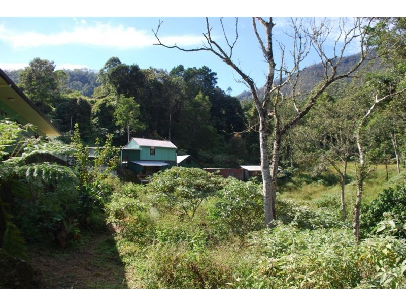 5/830 Commissioners Creek Road, Commissioners Creek NSW 2484