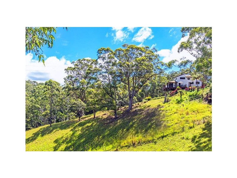 921 Round Mountain Road Reserve Creek, Reserve Creek NSW 2484