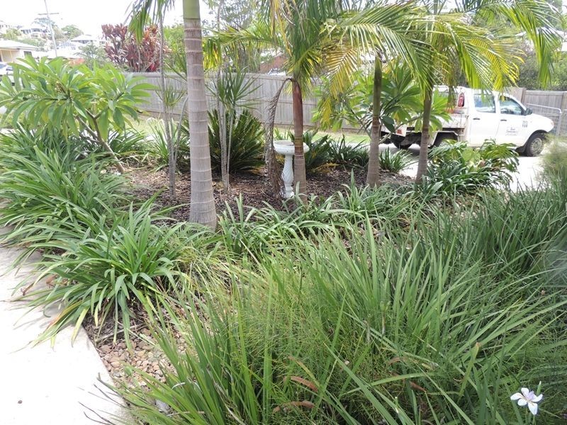 49 William Street, Murwillumbah NSW 2484