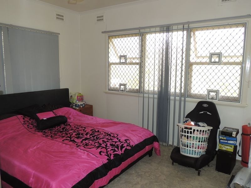 49 William Street, Murwillumbah NSW 2484