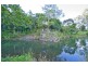921 Tyalgum Road, Eungella NSW 2484