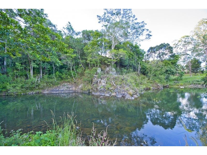 921 Tyalgum Road, Eungella NSW 2484