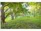 921 Tyalgum Road, Eungella NSW 2484