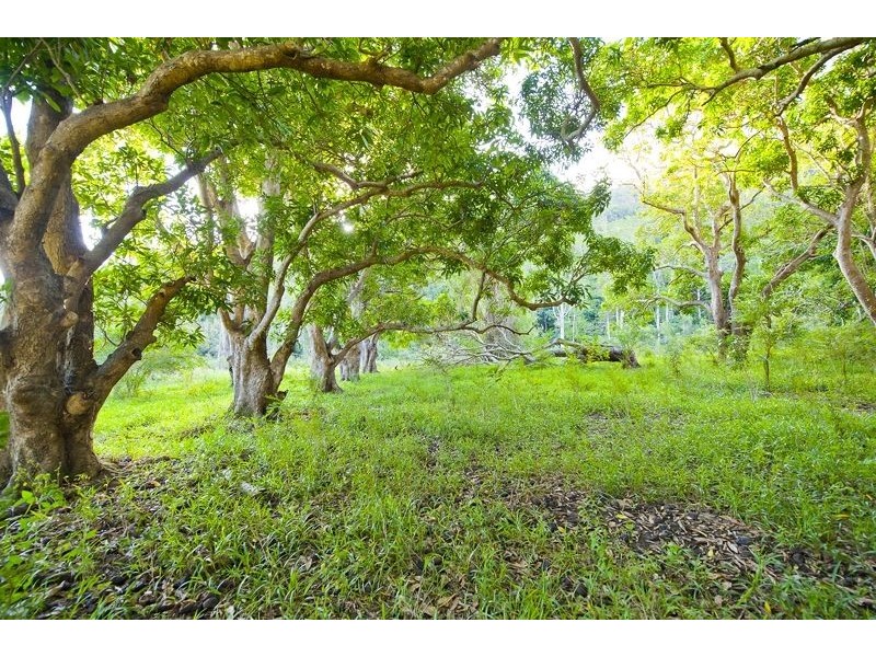 921 Tyalgum Road, Eungella NSW 2484