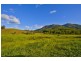 921 Tyalgum Road, Eungella NSW 2484