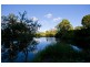 921 Tyalgum Road, Eungella NSW 2484