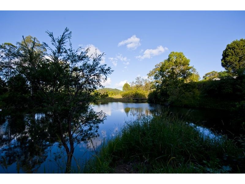 921 Tyalgum Road, Eungella NSW 2484