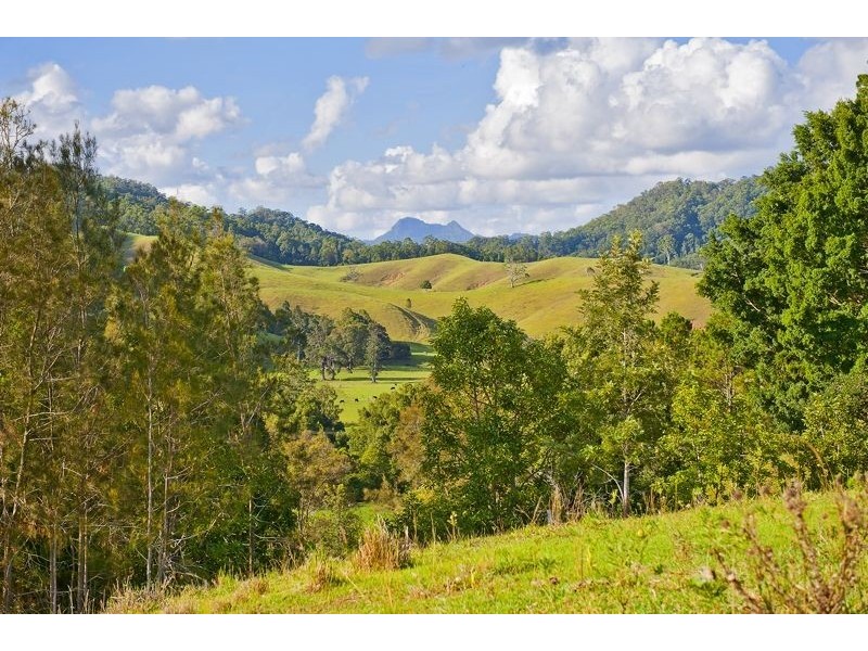921 Tyalgum Road, Eungella NSW 2484