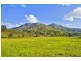 921 Tyalgum Road, Eungella NSW 2484