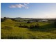 1166 Terranora Road, North Tumbulgum NSW 2490