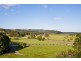 1166 Terranora Road, North Tumbulgum NSW 2490