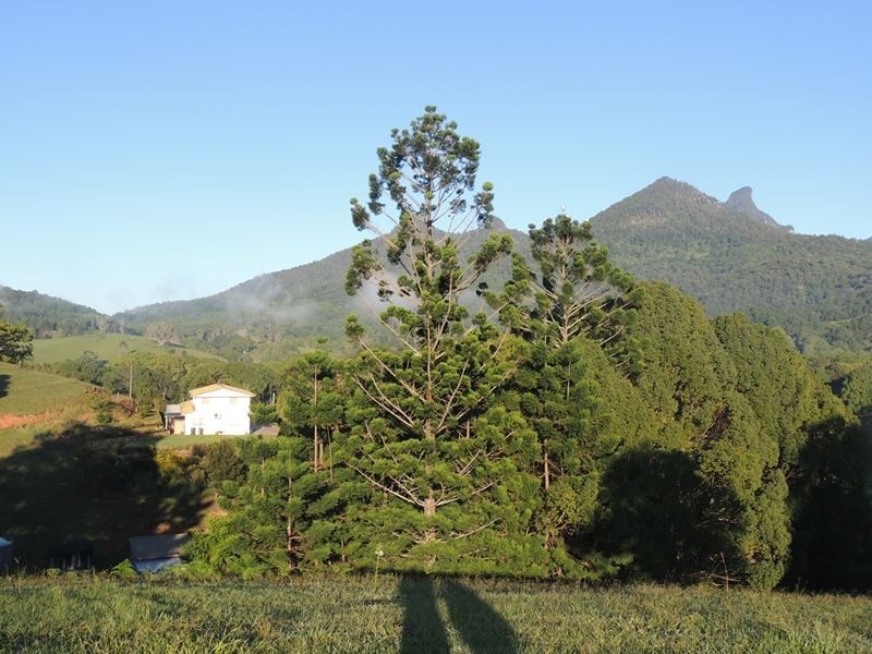 1279 Kyogle Road, Uki NSW 2484